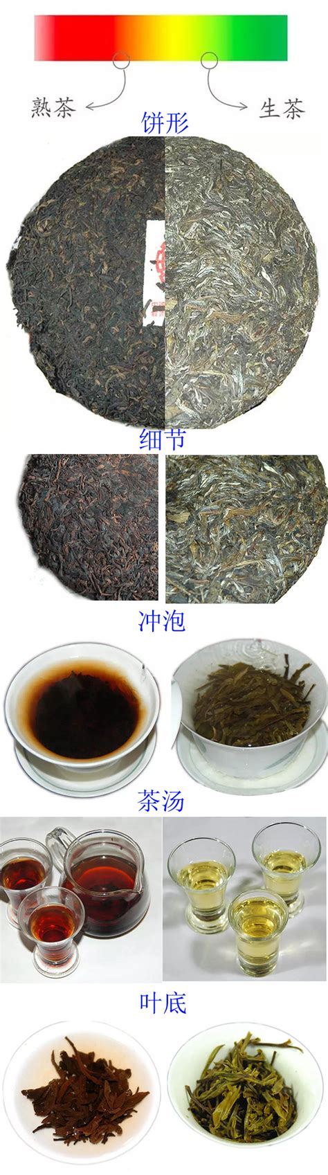 普洱茶生茶和普洱茶熟茶区别与实物对比「一如茶香专栏」 爱普茶网最新茶资讯网站