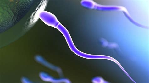 New Genetic Variations Discovered In Swimming Behavior Of Sperm Cells