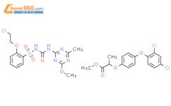 Chloroethoxy Phenyl Sulfonyl Methoxy Methyl