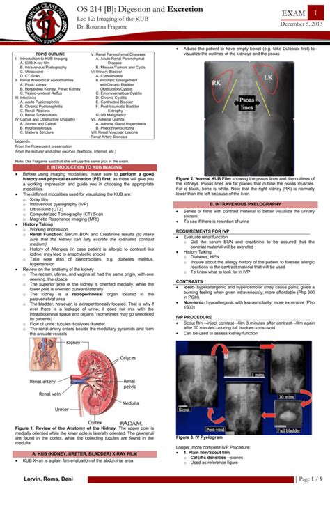 [B] E1 Lec 12 Imaging of the KUB