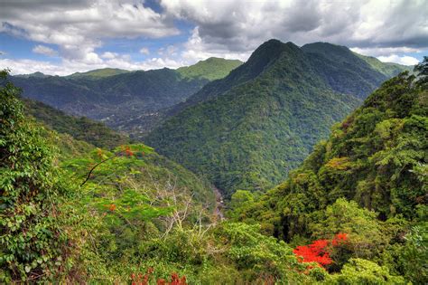 Park Narodowy El Yunque W Portoryko Zwiedzanie Co Zobaczyć