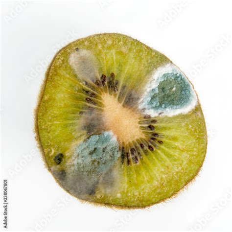 Kiwi Slice Covered With Green Mold On White Background Buy This