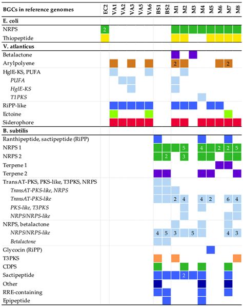 The Number And Types Of Biosynthetic Gene Clusters Bgcs Detected In