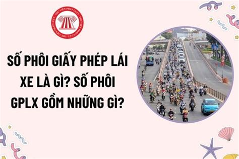 phoi giay phep lai xe la gi  phoi giay phep lai xe gom nhung gi