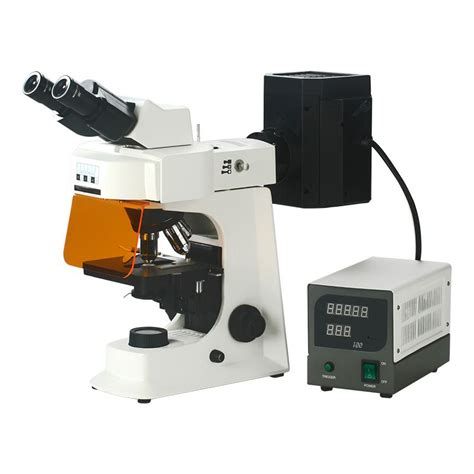 Smart Fl Fluorescence Microscope Binocular Trinocular Scopelab