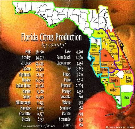 Map Of Florida Orange Groves Daron Philippa