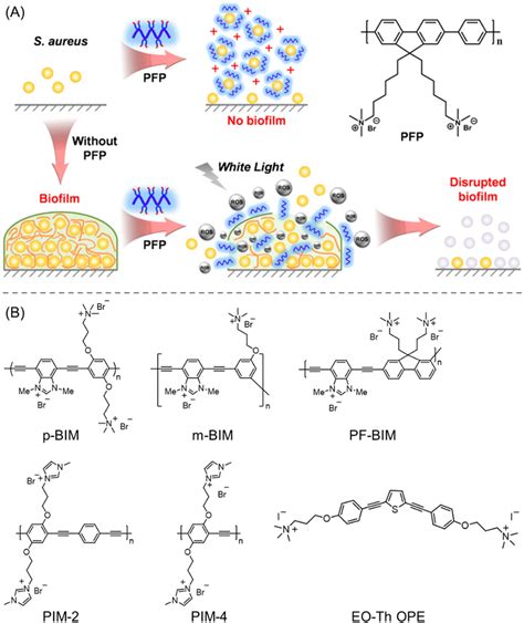 Inhibition And Eradication Of Bacterial Biofilm Using Polymeric