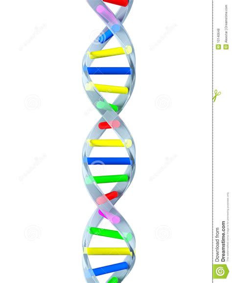 Dna Strand Clipart Free 20 Free Cliparts Download Images On