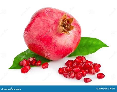 Ripe Pomegranate Fruit Stock Photo Image Of Closeup