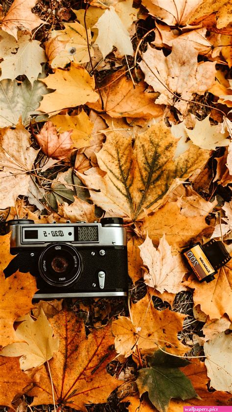 vintage aesthetic fall wallpaper | Wallpapers.Pics