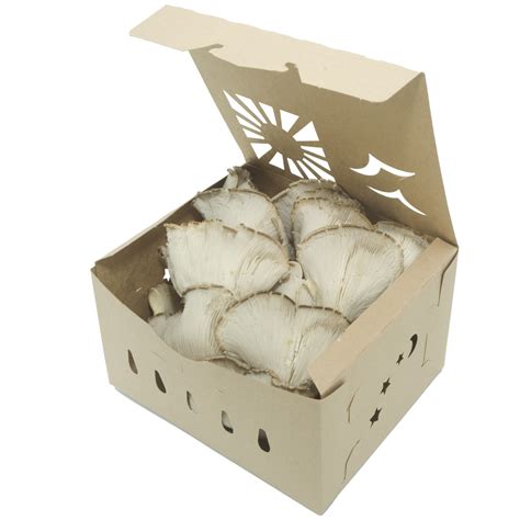 3 Quart KRAFT Paper Sustainable Produce Container (235/case ...