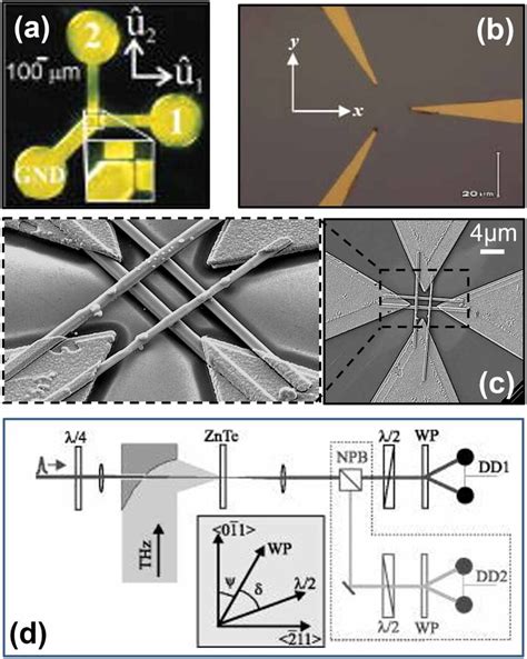 THz Polarization Measurements Based On Three Different Polarization