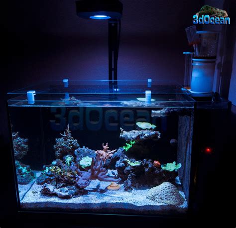 Fluval Nano Tank Ppgbbe Intranet Biologia Ufrj Br