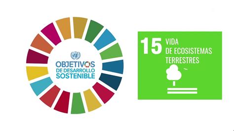 Agenda 2030 Ods Objetivo 15 Vida De Ecosistemas Terrestres Youtube