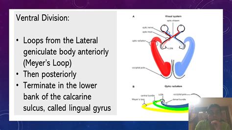 Meyers Loop Youtube