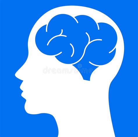 Vector Brain In Head Human Head And Brain Silhouette Stock