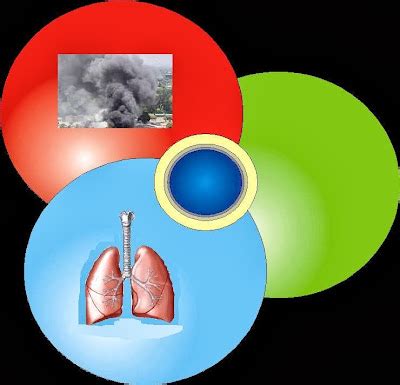 NATURE: Health Effects of air pollution