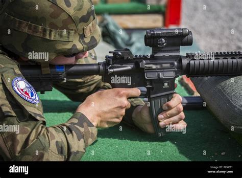 Multinational Soldiers Assigned To Kosovo Forces Fire M16 Rifles On A