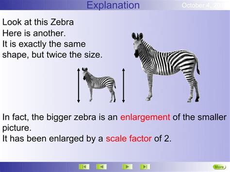 enlargement    graphics computer software  applications