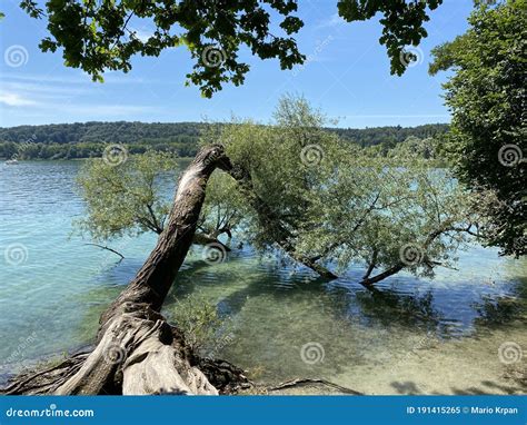 Landschaft Des Bodensees Durch Das Mainau Inselblumen Insel Mainau Auf