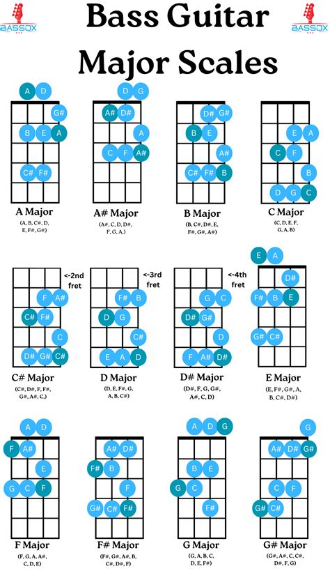 Major Scales On The Bass With Infographic And Audio Bassox