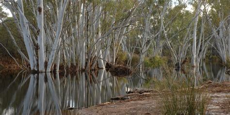 Wiluna, Australia 2024: Best Places to Visit - Tripadvisor