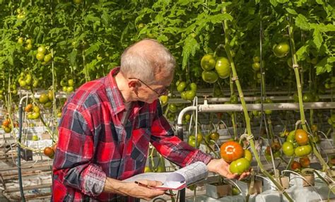 How To Harvest Your Fruits And Vegetables September 2023