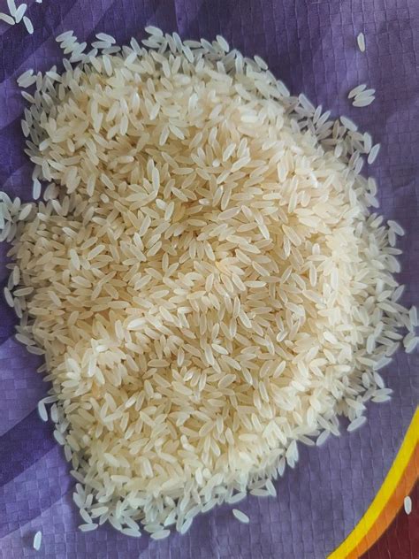 Double Boiled Jeera Rice At Rs 72 Kg Jeera Rice In Mumbai ID