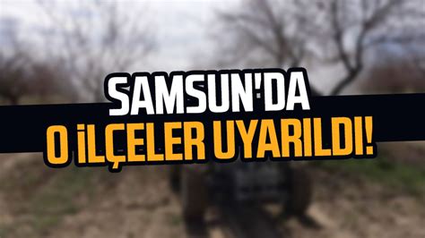 Samsun da o ilçelerde alarm Üreticilere uyarı geldi Samsun Haber