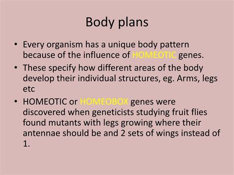 Ppt Homeobox Genes Powerpoint Presentation Free Download Id 2129427