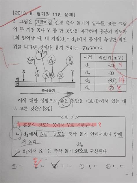 생명과학1 흥분전도 문제풀이 지식in