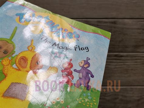 Teletubbies Magic Flag Book