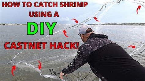 How To Catch Shrimp Using A Diy Cast Net Hack Plus Step By Tips On