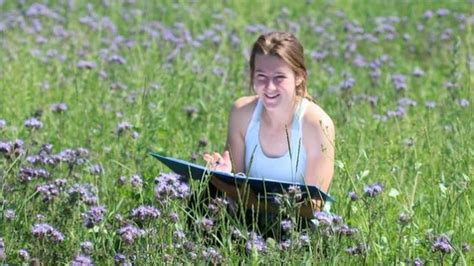 Suffolk Pig Farm Feeds A Million Bumblebees Bbc News