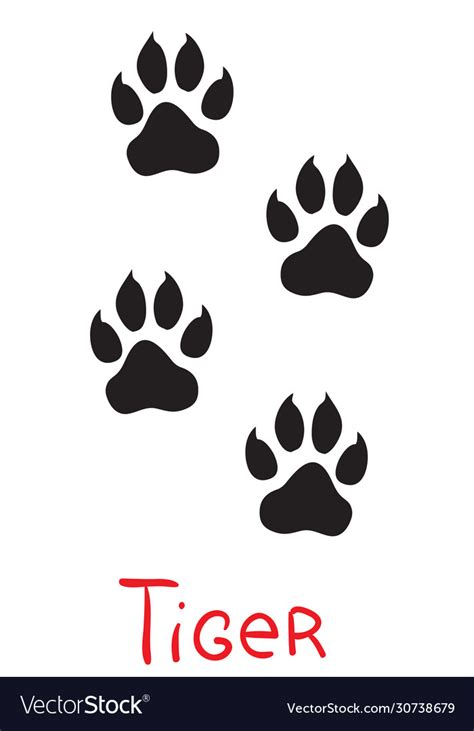 Set black tiger tracks icon isolated object Vector Image