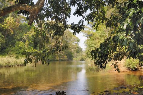 Top Longest Rivers In Zimbabwe Toplist Info