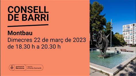 Consell De Barri Montbau Youtube