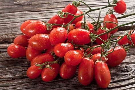 Pomodoro San Marzano Pomodoro Caratteristiche Del Pomodoro San Marzano