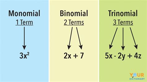 Examples of monomials and polynomials – Artofit