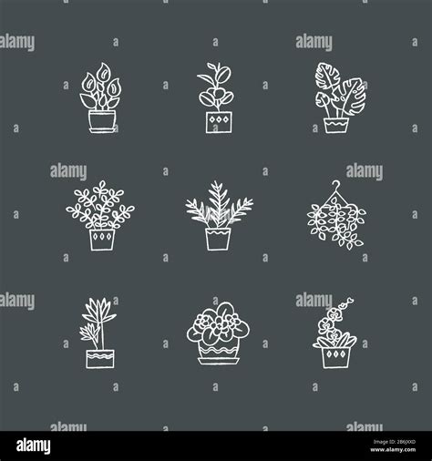 Domesticated Plants Chalk White Icons Set On Black Background