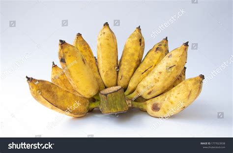 Pisang Raja Bandung Raja Bandung Banana Stock Photo 1777023938