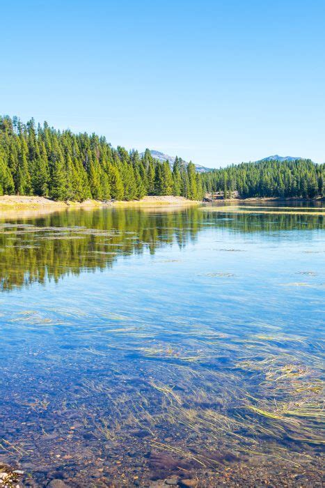 Yellowstone River - 700 Miles of Wild Beauty, History, and Adventure