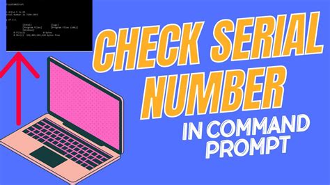 How To Check Serial Number On Laptop Using Cmd Get Serial Number On Pc Command Prompt Serial