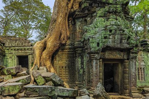 Tree Root On Gopura Entrance At 12th Century Temple Ta Prohm A Tomb