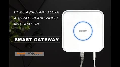 Dsgw 210 Ha Gateway Home Assistant Alexa Activation And Zigbee Integration Youtube