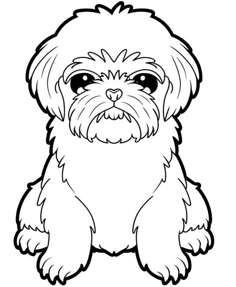 Shih Tzu Desenho Facil - 7