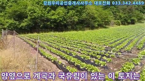 강원도토지ㅡ횡성군 청일면토지 토지에도 등급이 피톤치드 뿜어대는 국유림과 1급수계곡이 있는곳 카페맛집펜션캠프장경작