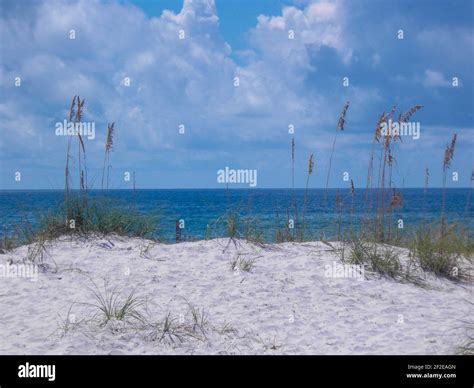 Gulf Shores Beach Stock Photo - Alamy