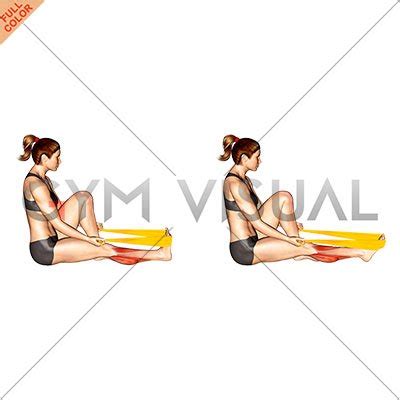 Resistance Band Seated Calf Stretch Female