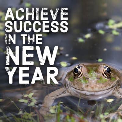 Achieve Success in the New Year | Paradux Media Group